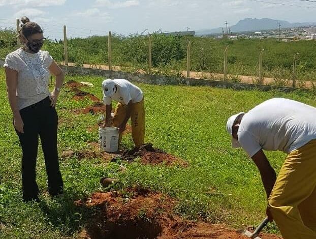 Secretaria de Meio Ambiente inicia projeto “Muda Vidas” com plantação de 30 espécies frutíferas no presídio de Patos planta 622x470 - Secretaria de Meio Ambiente inicia projeto “Muda Vidas” com plantação de 30 espécies frutíferas no presídio de Patos