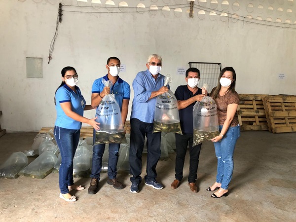 PISCICULTURA: Prefeitura de São João do Rio do Peixe recebe alevinos para distribuir com os pequenos produtores rurais peixe 1 - PISCICULTURA: Prefeitura de São João do Rio do Peixe recebe alevinos para distribuir com os pequenos produtores rurais