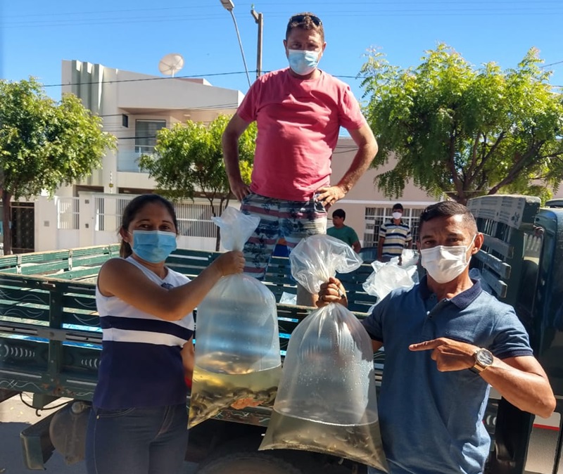 peixesf1 - PEIXAMENTO: Prefeitura de São Francisco distribui 15 mil alevinos em açudes da Zona Rural