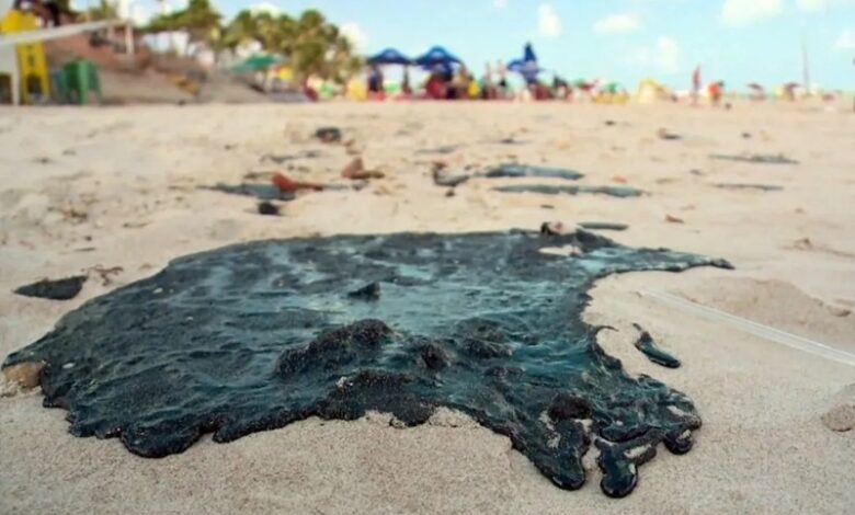 Prefeitura de João Pessoa monitora praias de João Pessoa após vestígios de óleo serem encontrados no Bessa praia 780x470 - Prefeitura de João Pessoa monitora praias de João Pessoa após vestígios de óleo serem encontrados no Bessa