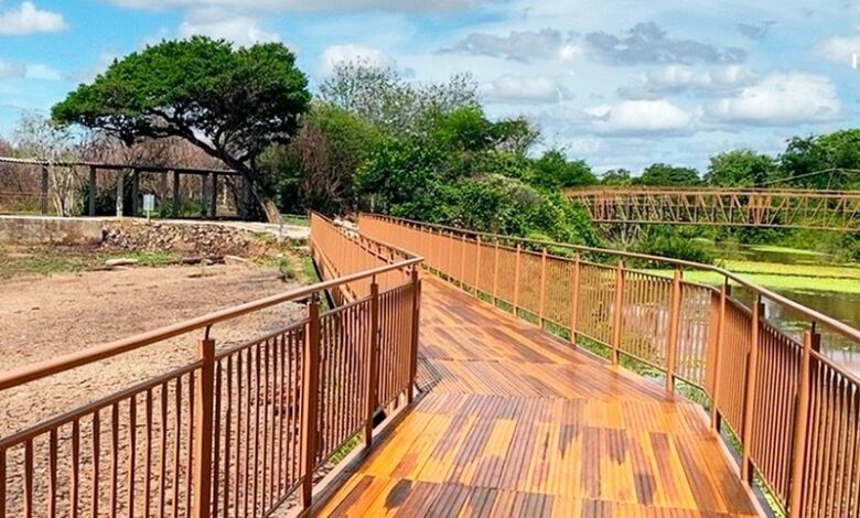 Governo da Paraíba libera acesso a pontes e passarelas do Vale dos Dinossauros após obras de revitalização vale 780x470 - Governo da Paraíba libera acesso a pontes e passarelas do Vale dos Dinossauros após obras de revitalização