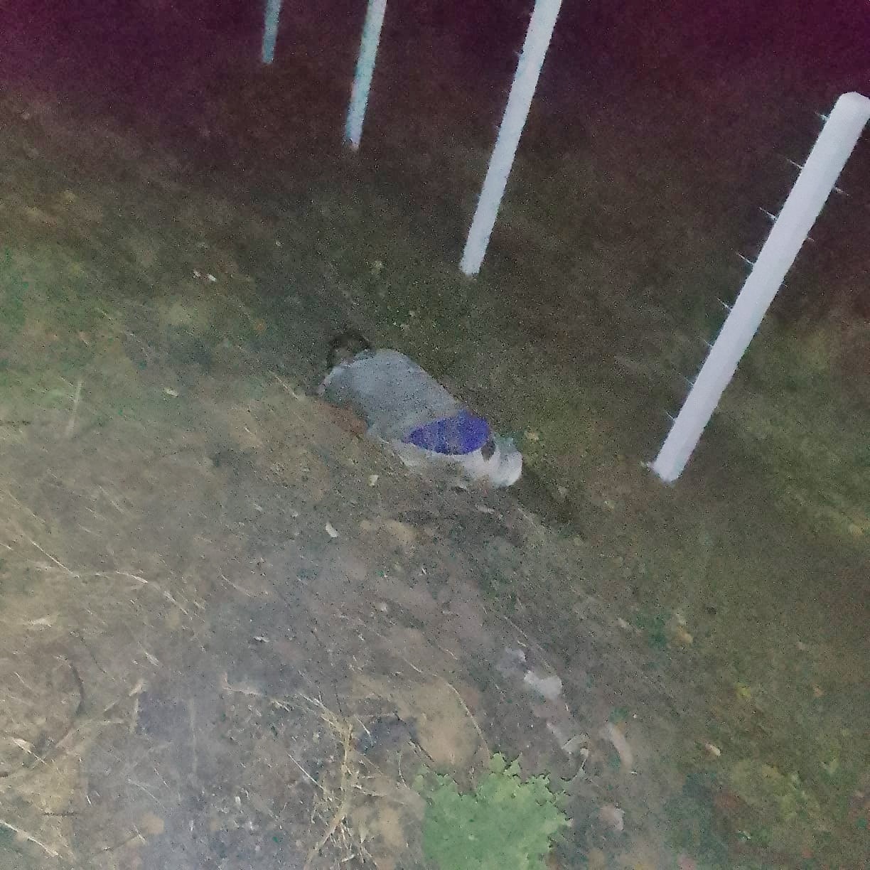 TRAGÉDIA: Casal morre após colisão entre carro e moto na PB-359 na zona rural de Aparecida e deixa corpos mutilados 3 - TRAGÉDIA: Casal morre após colisão entre carro e moto na PB-359 na zona rural de Aparecida e deixa corpos mutilados