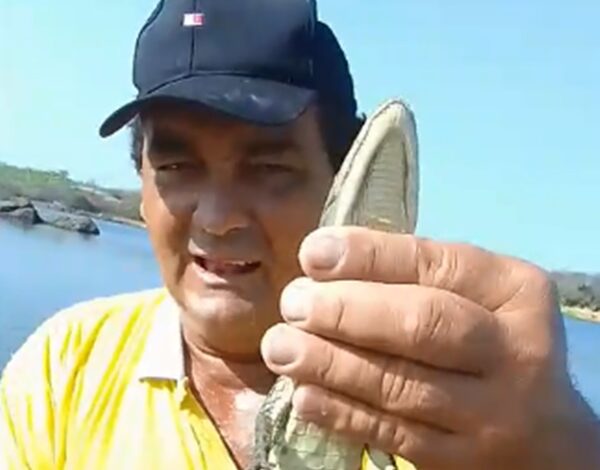 Pescador captura filhote de jacaré no Açude São Gonçalo, em Sousa, e alerta que havia ‘um grande’ jacare 600x470 - Pescador captura filhote de jacaré no Açude São Gonçalo, em Sousa, e alerta que havia ‘um grande’