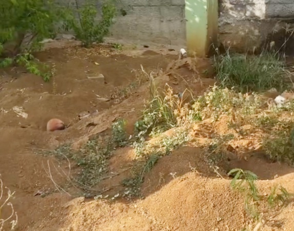 Herança de Abandono: Prefeito Alyson Francisco encontra escola em condições deplorável deixada pela gestão anterior do ex-prefeito Allan Seixas em Cachoeira dos Índios; VEJA VÍDEO 2cachoeira - Herança de Abandono: Prefeito Alyson Francisco encontra escola em condições deplorável deixada pela gestão anterior do ex-prefeito Allan Seixas em Cachoeira dos Índios; VEJA VÍDEO