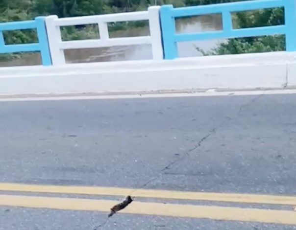 Ponte na BR-230, saída de Aparecida para Sousa, apresenta rachaduras no asfalto e gera preocupação entre moradores do Sertão Paraibano ponte 604x470 - Ponte na BR-230, saída de Aparecida para Sousa, apresenta rachaduras no asfalto e gera preocupação entre moradores do Sertão Paraibano