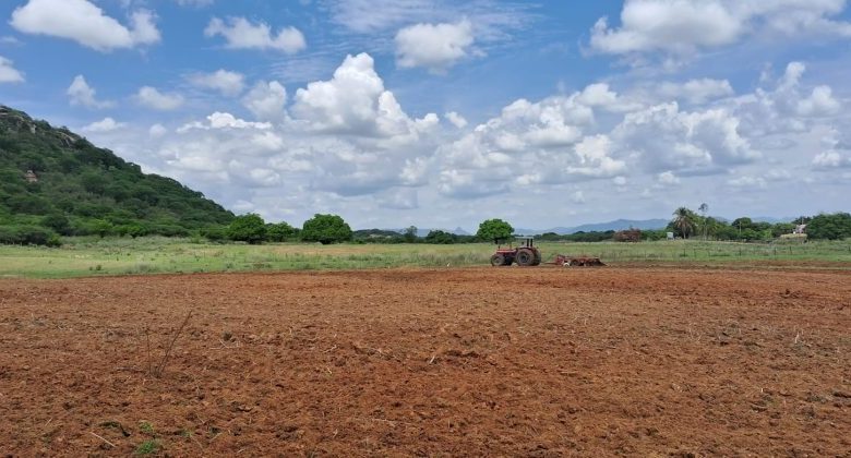 Em São Bentinho : Prefeitura segue avançando com programa de corte de terras para agricultores do município terras 780x420 - Em São Bentinho : Prefeitura segue avançando com programa de corte de terras para agricultores do município