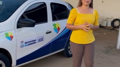 adeilsa 390x220 - Prefeita de São Domingos entrega veículo para transporte de crianças com autismo no município