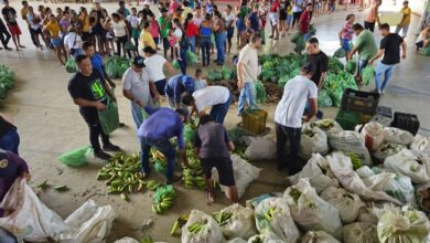 apa 390x220 - Prefeitura de Aparecida distribui 3,5 toneladas de alimentos para 600 famílias entre a zona rural e urbana do município