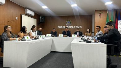 denise1 390x220 - Prefeita Denise Bayma participa da sessão solene de abertura do 1º período legislativo em Bom Jesus