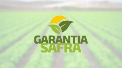 consultar garantia safra 390x220 - Pagamento do Garantia Safra 2022/2023 é liberado em São Domingos, beneficiando diversos agricultores do município