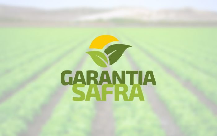 consultar garantia safra - Pagamento do Garantia Safra 2022/2023 é liberado em São Domingos, beneficiando diversos agricultores do município