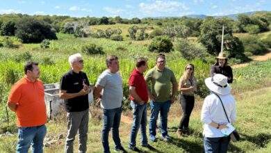 chico 390x220 - Chico Mendes reafirma compromisso com as comunidades rurais de São José da Lagoa Tapada durante visita ao lado do prefeito Neto de Coraci