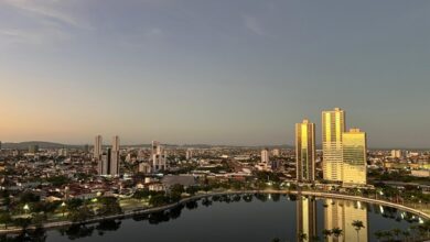 cg 1 390x220 - Com mais um mês positivo, Campina Grande chega aos 4.471 novos empregos em 2025, aponta Caged
