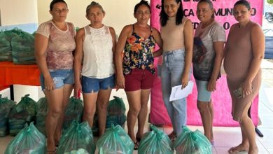 sdacao 390x220 - Prefeitura de São Domingos beneficia famílias com entrega de cestas básicas