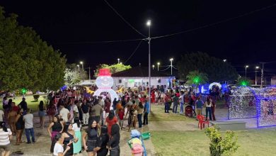 Prefeita Adeilza Soares entra para a história ao acender o primeiro Natal Iluminado de São Domingos catsnatalsd 390x220 - Prefeita Adeilza Soares entra para a história ao acender o primeiro Natal Iluminado de São Domingos