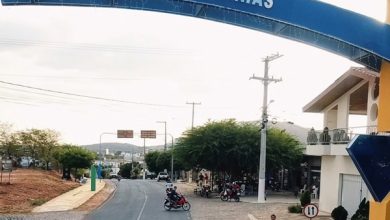 Prefeitura de Tenente Ananias recebe mais de R$ 93 mil da Política Nacional Aldir Blanc para investimento na cultura tenente 390x220 - Prefeitura de Tenente Ananias recebe mais de R$ 93 mil da Política Nacional Aldir Blanc para investimento na cultura