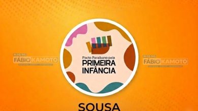 Município de Sousa integra lista dos 33 municípios paraibanos premiados pelo TCE-PB ss 2 390x220 - Município de Sousa integra lista dos 33 municípios paraibanos premiados pelo TCE-PB